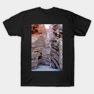 Argentine - Quebrada de las Conchas T-Shirt